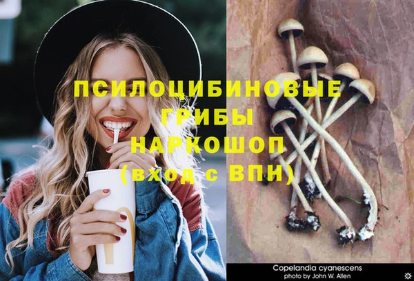 каннабис Алексин