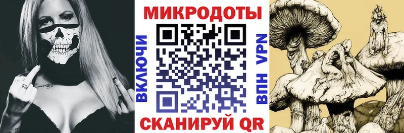 наркота  Анжеро-Судженск  Псилоцибиновые грибы прущие грибы 